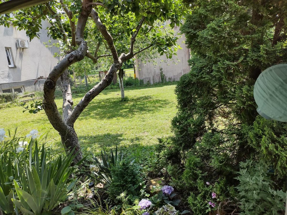 Villa Drenje Kljuc Brdovecki ภายนอก รูปภาพ